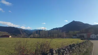 Descripción de la foto