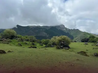Descripción de la foto