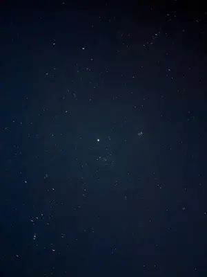 Descripción de la foto