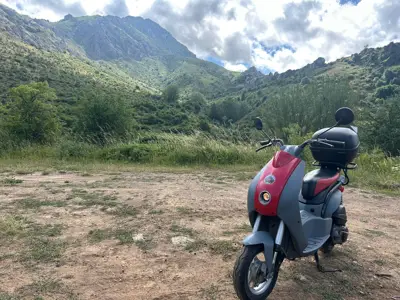 Descripción de la foto