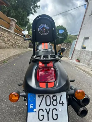 Descripción de la foto