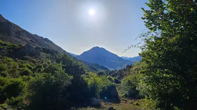 Descripción de la foto