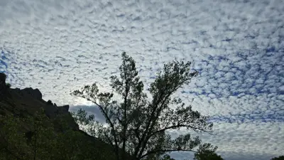 Descripción de la foto