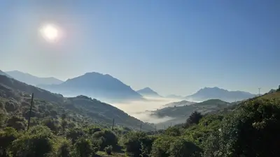 Descripción de la foto