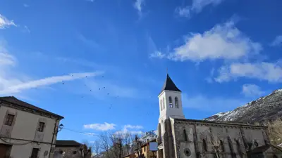 Descripción de la foto